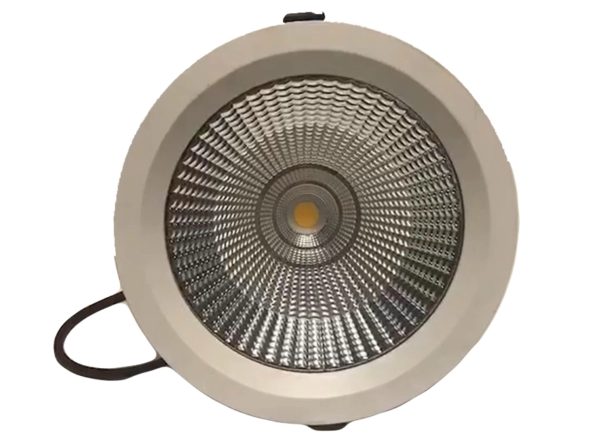 LED Spotlight Ceiling Light Spotlight 30W LED Spotlight Downlight