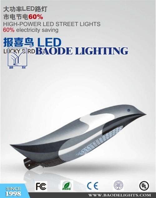Outdoor LED Light (BDLED08)